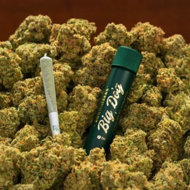 flower shop dispensary