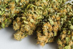 buy cannabis flower online