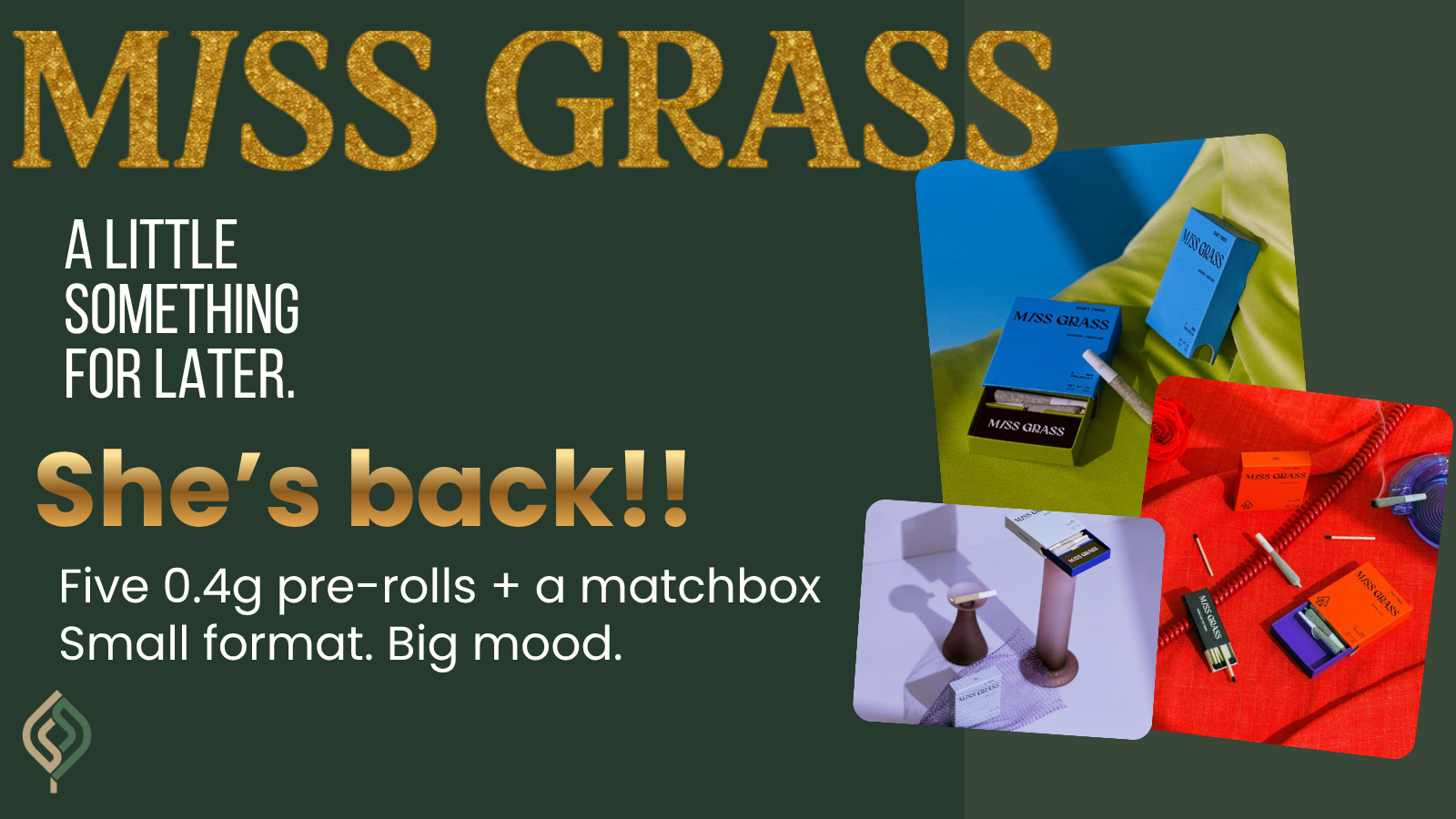 Mini Pre-Roll Joints Flyer (1)